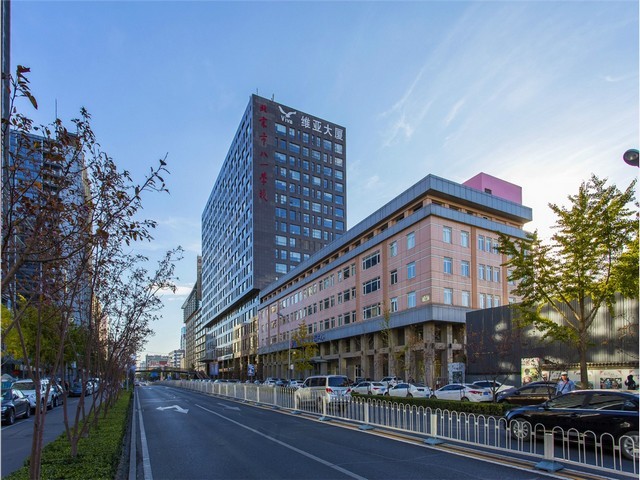 松江区修身衬衫定制厂家